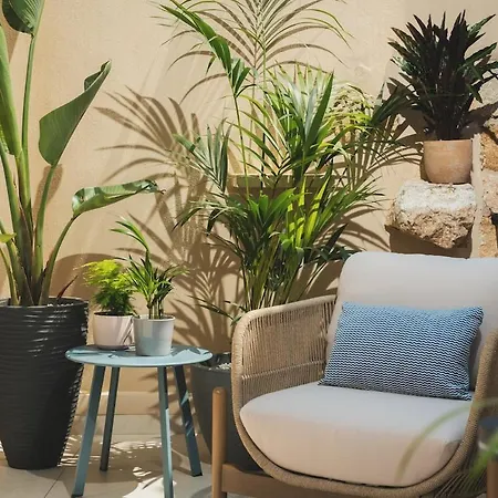 Old Town Apt, Balcony, Brand New, Family, 하니아